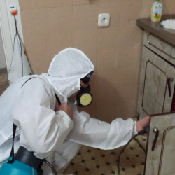 Дезинфекция от муравьев в квартире в Волгореченске