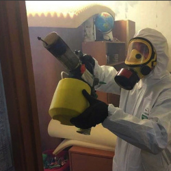 Уничтожение клопов в квартире. Волгореченск